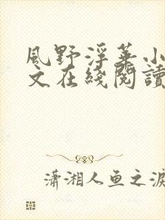 风野浮华小说全文在线阅读