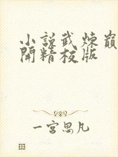 小说武炼巅峰杨开精校版封面