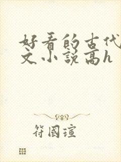 好看的古代调教文小说高h
