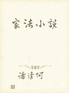 家法小说