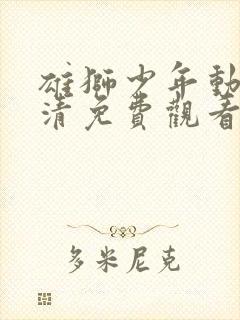 雄狮少年动漫高清免费观看