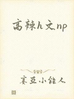 高辣h文np
