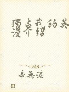 独占我的英雄动漫介绍封面