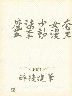 魔法少女奈叶第五季动漫免费