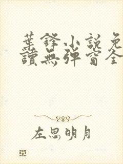 叶锋小说免费阅读无弹窗全文