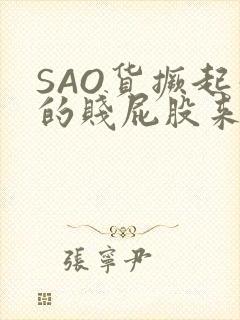 SAO货撅起你的贱屁股来