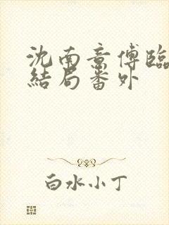 沈南意傅临洲大结局番外