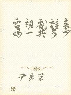 电视剧谁来伺候妈一共多少集封面