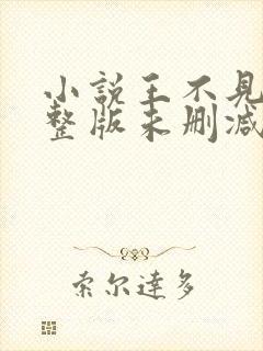 小说王不见王完整版未删减小说