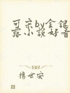 可宋by金银花露小说好看吗
