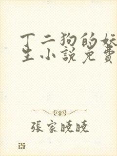 丁二狗的妖孽人生小说免费阅读