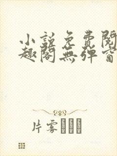 小说免费阅读笔趣阁无弹窗