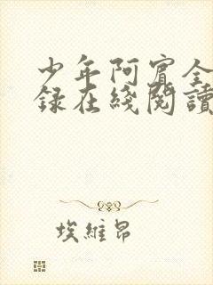 少年阿宾全文目录在线阅读封面