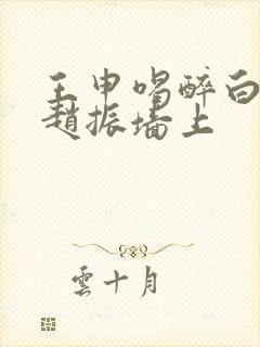 王申喝醉白洁被赵振墙上封面