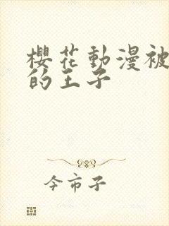 樱花动漫被诅咒的王子