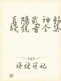 真阳武神动漫在线观看全集免费播放封面