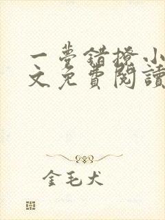 一梦错撩小说全文免费阅读无弹窗