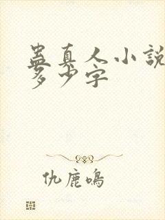 蛊真人小说一共多少字封面