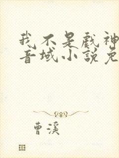 我不是戏神三九音域小说免费下载封面