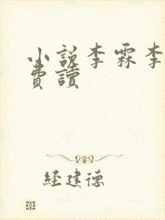 小说李霖李澜免费读封面