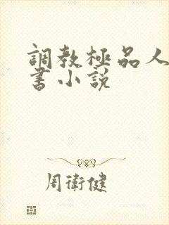 调教极品人妻秘书小说封面