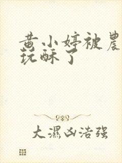 黄小婷被农民工玩酥了封面