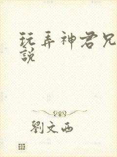 玩弄神君兄长小说