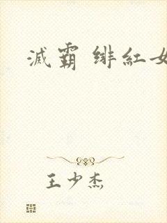 灭霸 绯红女巫封面