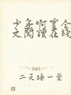 少年啊宾全文全文阅读在线阅读全文封面