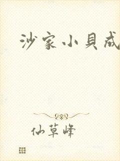 沙家小贝成长记封面