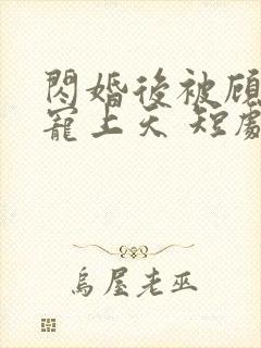 闪婚后被顾先生宠上天 短剧