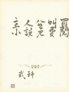 主人公叫罗铮的小说免费阅读笔趣阁封面