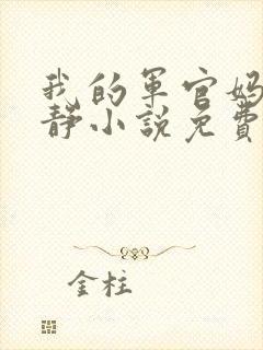 我的军官妈妈王静小说免费阅读