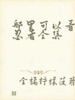 哪里可以看火影忍者全集