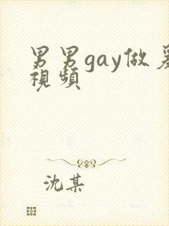 男男gay做爰视频