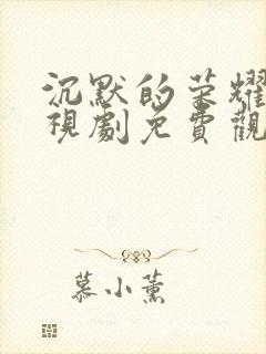 沉默的荣耀 电视剧免费观看全集高清封面