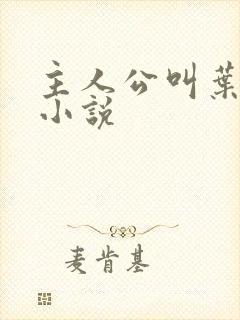 主人公叫叶凡的小说