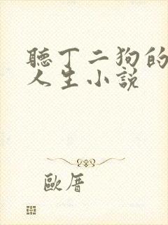 听丁二狗的肆意人生小说