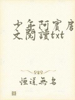 少年阿宾房东全文阅读txt封面