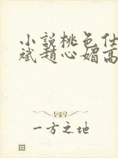 小说桃色仕途陈斌赵心媚高婉君