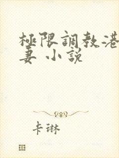 极限调教港女人妻 小说