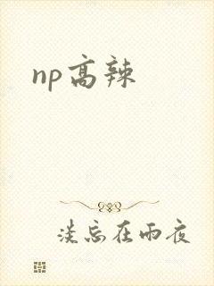 np高辣