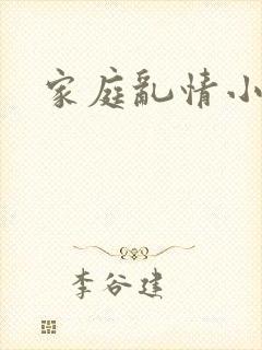 家庭乱情小说封面