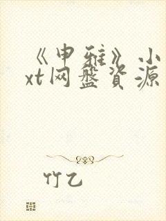 《申雅》小说txt网盘资源