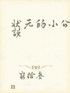 状元的小公主小说