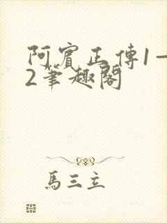 阿宾正传1—72笔趣阁