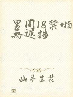 男同18禁啪啪无遮挡