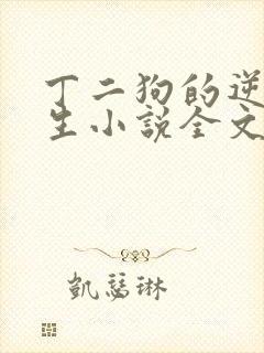 丁二狗的逆袭人生小说全文阅读