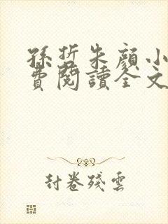 孙哲朱颜小说免费阅读全文最新章节