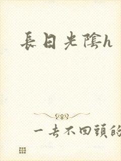 长日光阴h